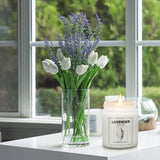 Duftkerzen im Glas 4 Stück Set Lavendel Kaktus Eis & Vanille Kerzen für Raumduft 200g